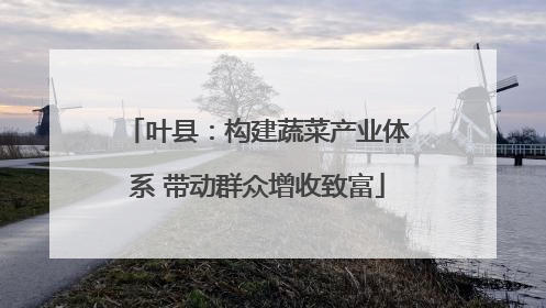 叶县：构建蔬菜产业体系 带动群众增收致富
